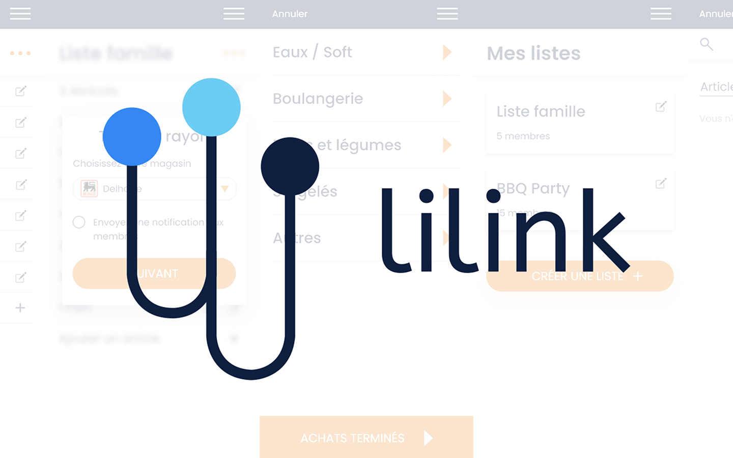 Logo du site Lilink.